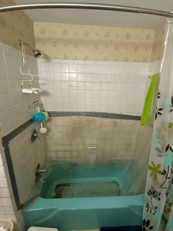 Before - Walk-In Shower